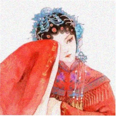 观众拾柒的头像